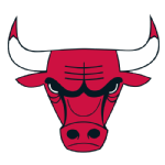 Bulls Basketball Collectibles