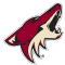 Coyotes Hockey Collectibles